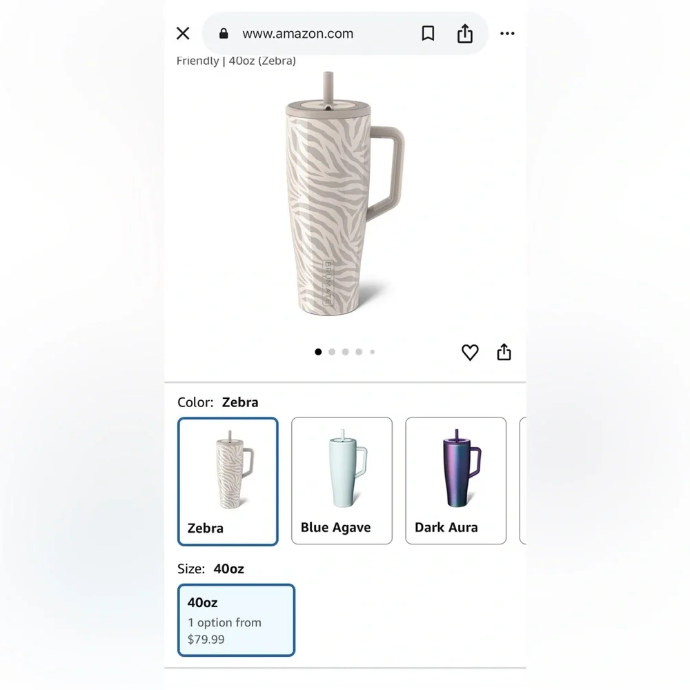 BRUMATE
ERA 40OZ ZEBRA - Picture 9 of 11